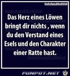 das herz eines loewen das herz eines loewen