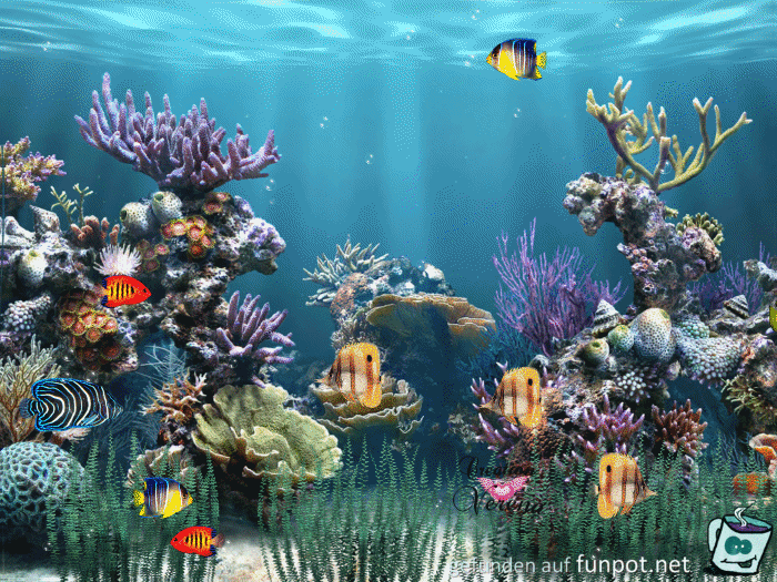 Aquarium Example Aquarium Example