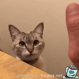 Gib fünf Gib fünf