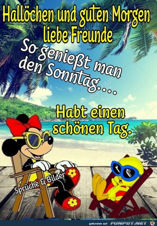 Halloechen und guten Morgen Halloechen und guten Morgen