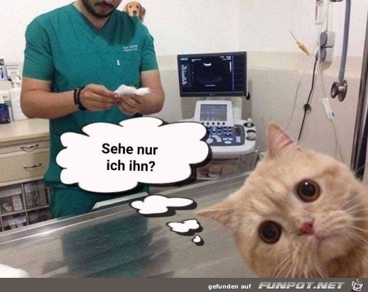 Ich sehe was Ich sehe was