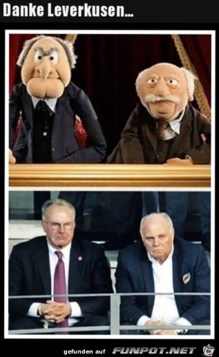 Lange Gesichter Lange Gesichter