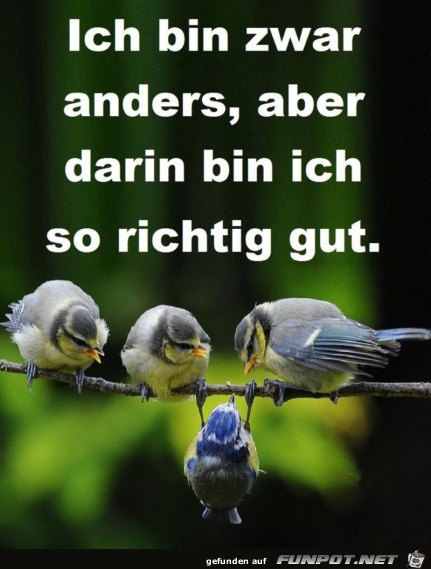 Anders Anders