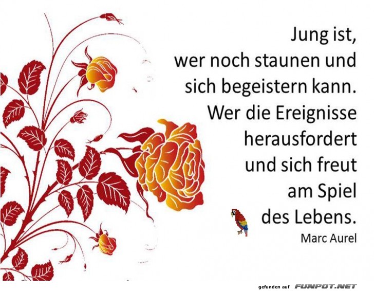 Jung ist Jung ist