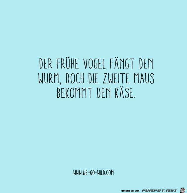 der fruehe Vogel faengt der fruehe Vogel faengt