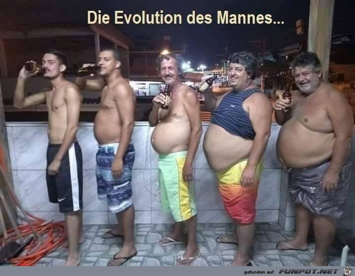 die evolution des mannes