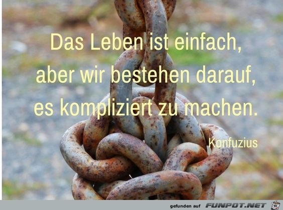das leben ist einfach das leben ist einfach