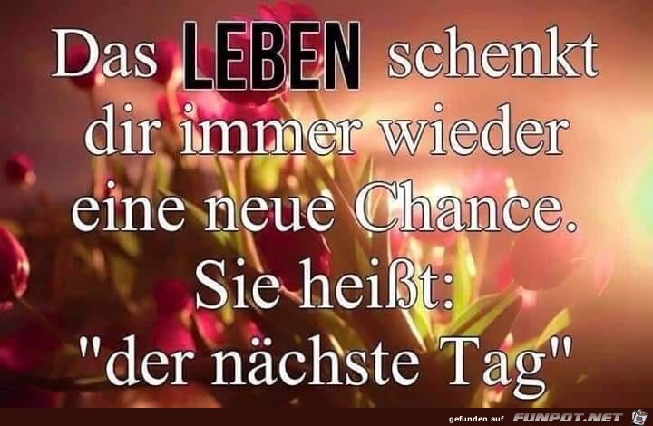 das leben schenkt dir immer wieder das leben schenkt dir immer wieder