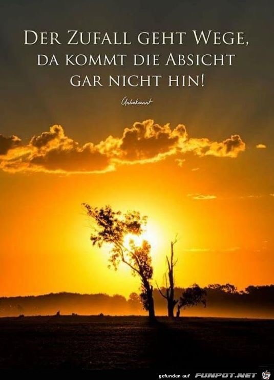 der Zufall geht wege der Zufall geht wege