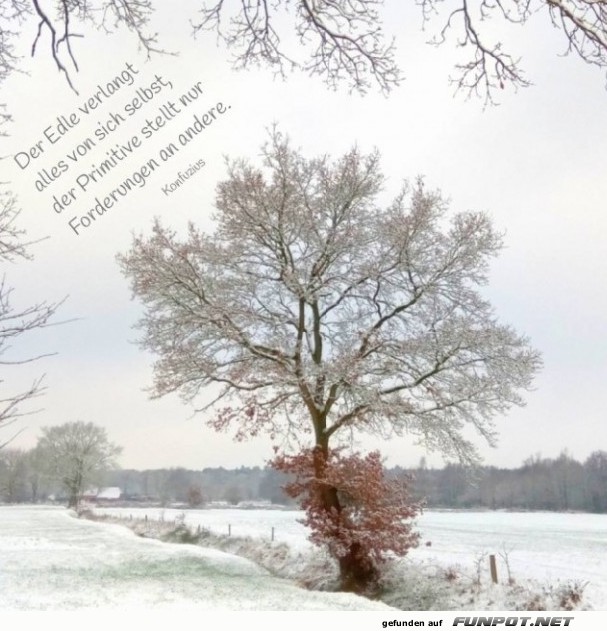 10 sch�ne Spr�che und Lebensweisheiten aus...