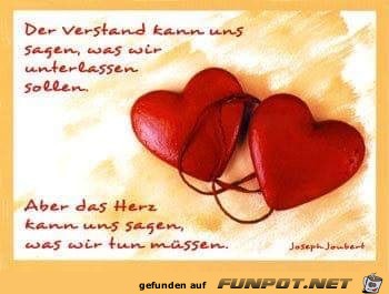 der verstand kann uns sagen der verstand kann uns sagen