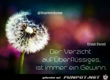 der verzicht der verzicht