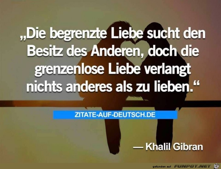 die begrenzte liebe die begrenzte liebe
