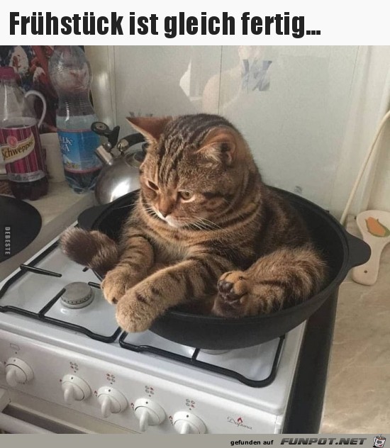 Frühstück ist gleich fertig..... Frühstück ist gleich fertig.....