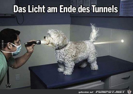 das Licht am Ende des Tunnels........ das Licht am Ende des Tunnels........