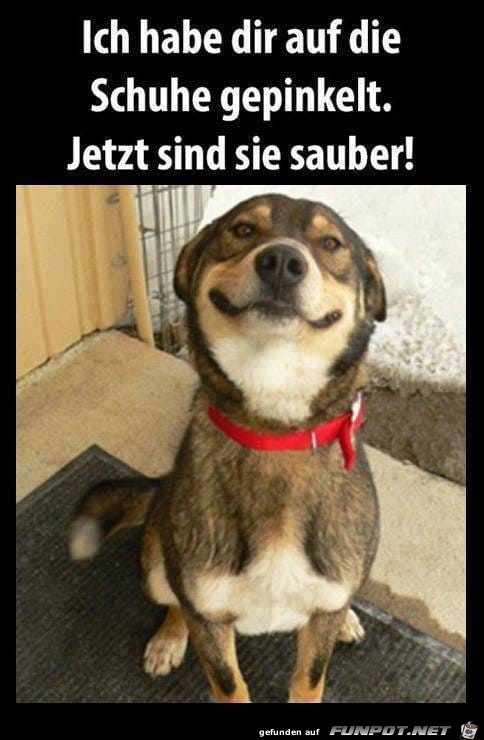 Wie schön Wie schön