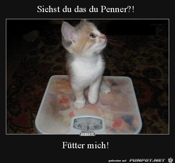 Da guck hin Da guck hin