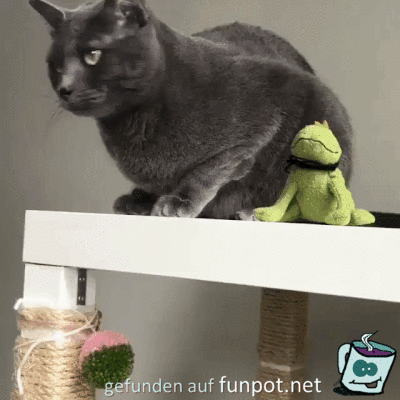 Zack weg Zack weg
