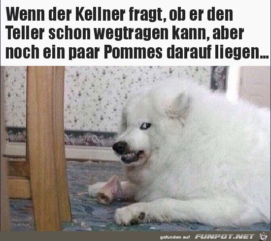 Dieser Blick Dieser Blick