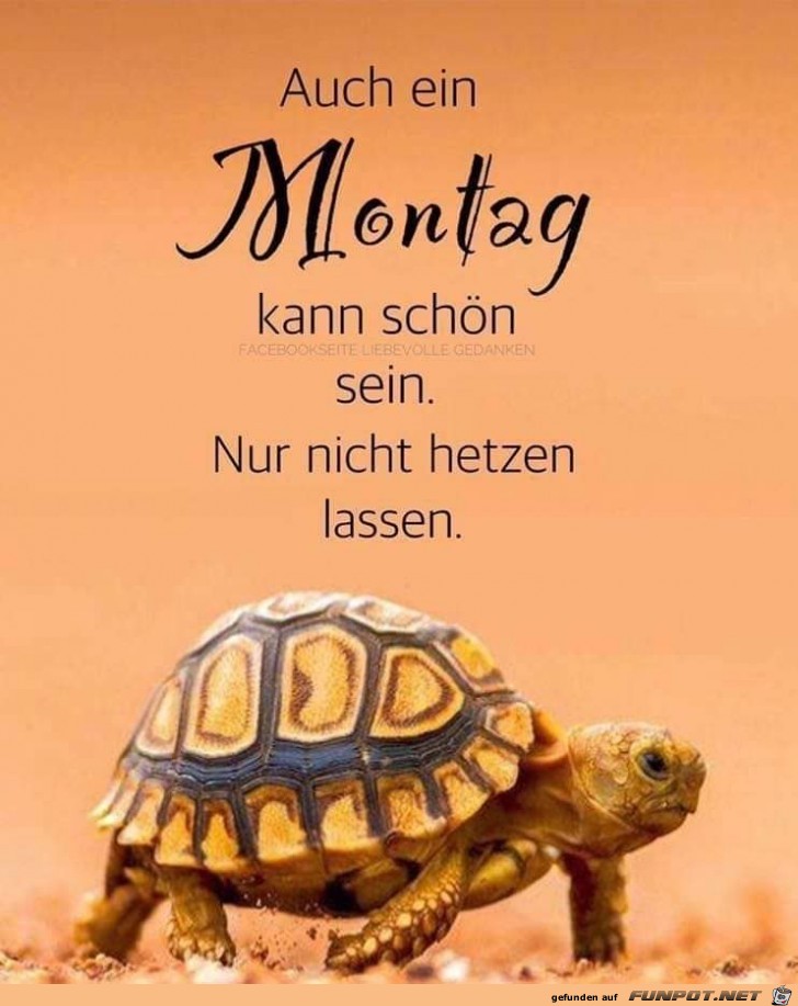 auch ein Montag