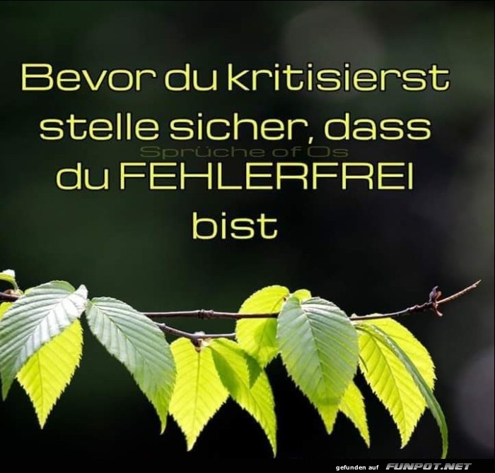 10 schöne Sprüche und Lebensweisheiten aus... 10 schöne Sprüche und Lebensweisheiten aus...