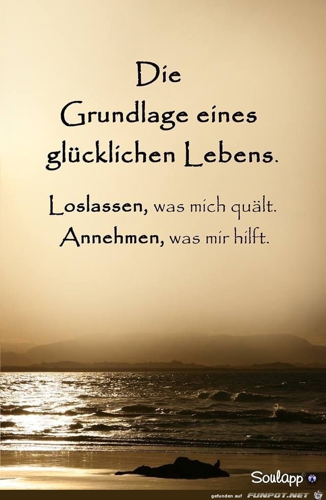 die grundlage die grundlage