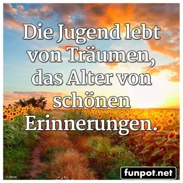 10 sch�ne Spr�che und Lebensweisheiten aus...