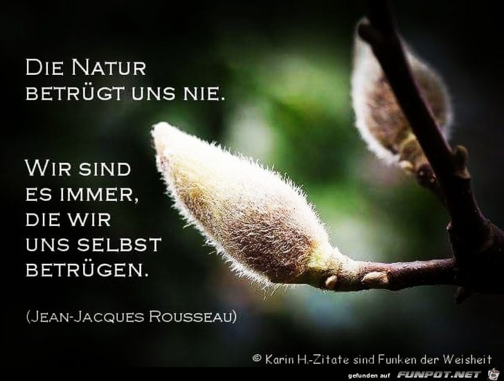 die natur betruegt uns nie