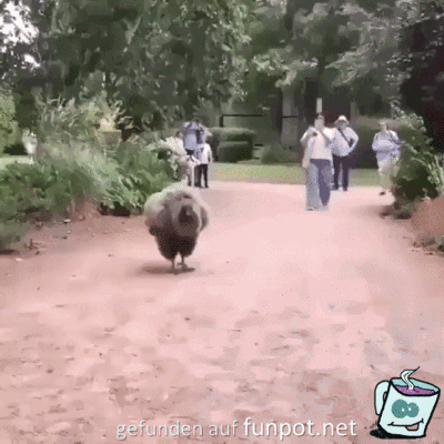 imposant imposant
