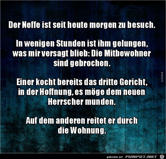 der Neffe ist seit heute zu Besuch der Neffe ist seit heute zu Besuch