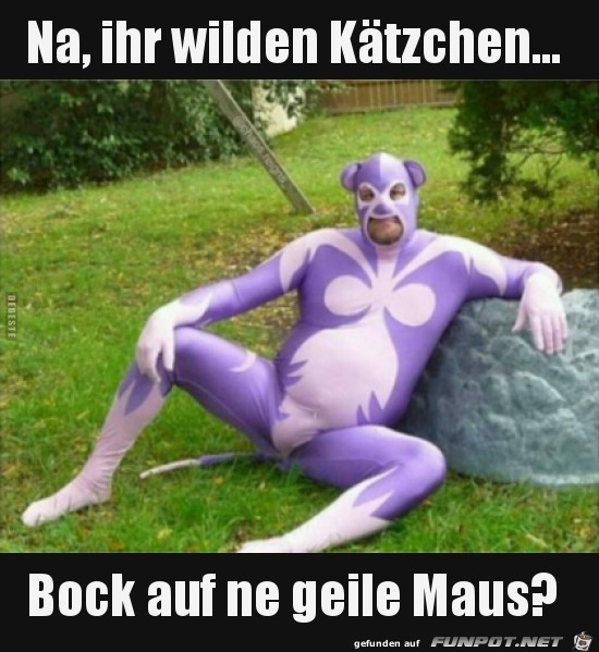 Nein danke Nein danke