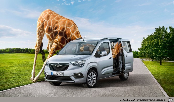 Lustige Giraffe Lustige Giraffe