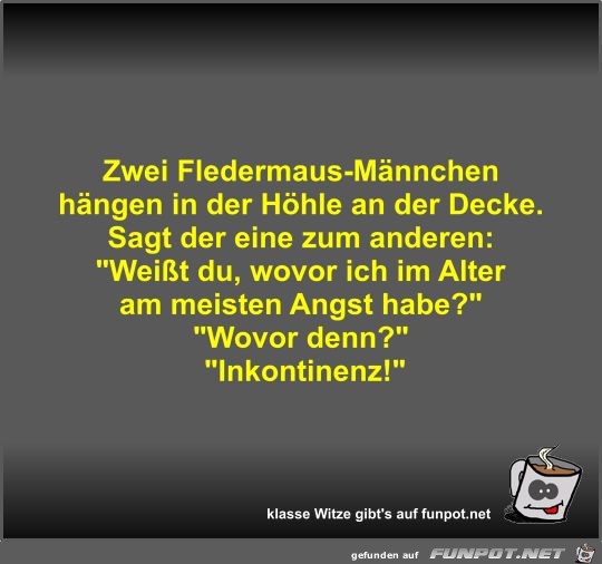 Zwei Fledermaus-Männchen hängen in der Höhle an der Decke Zwei Fledermaus-Männchen hängen in der Höhle an der Decke