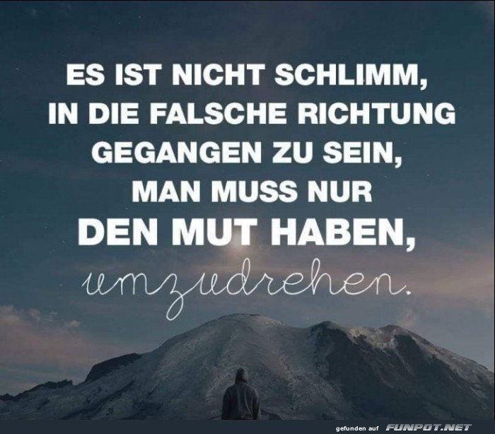 10 sch�ne Spr�che und Lebensweisheiten aus...