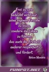 FREI ZU SEIN FREI ZU SEIN