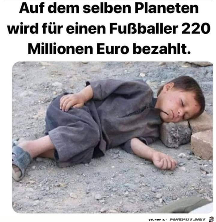 auf dem selben planeten