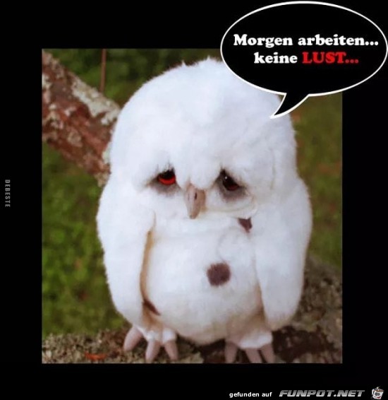 keine Lust....... keine Lust.......