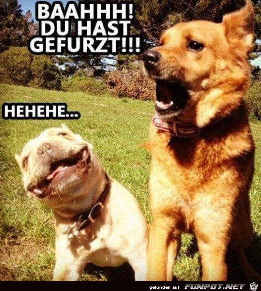 Na toll Na toll