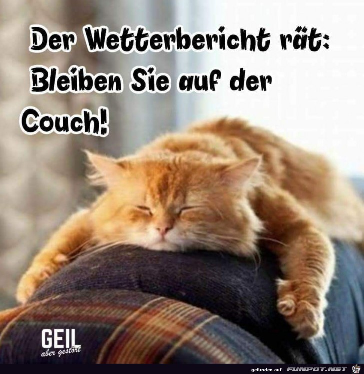der Wetterbericht der Wetterbericht