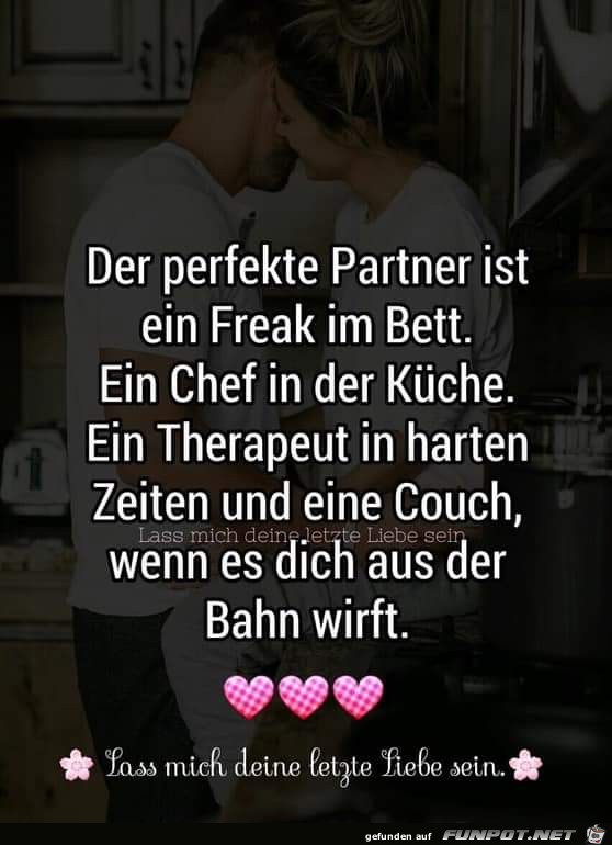 der perfekte partner der perfekte partner