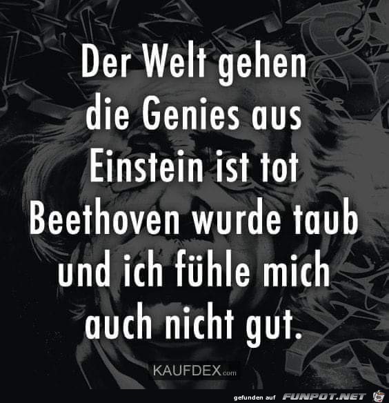 der welt gehen die genies aus der welt gehen die genies aus