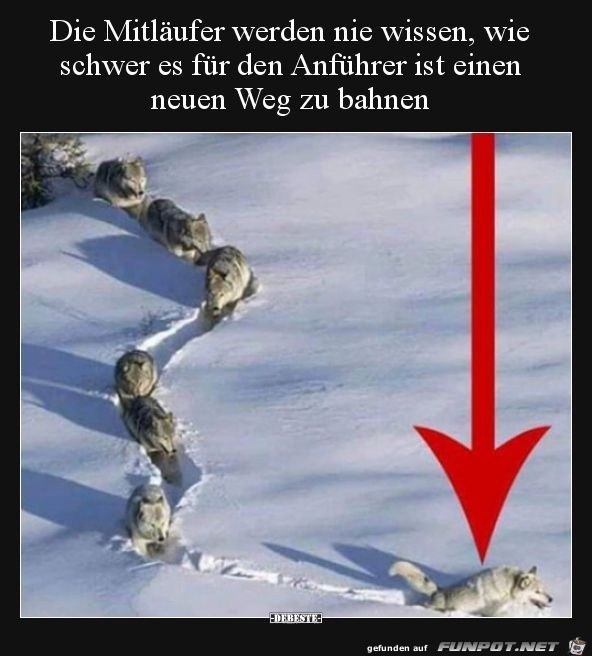 die mitlaeufer die mitlaeufer