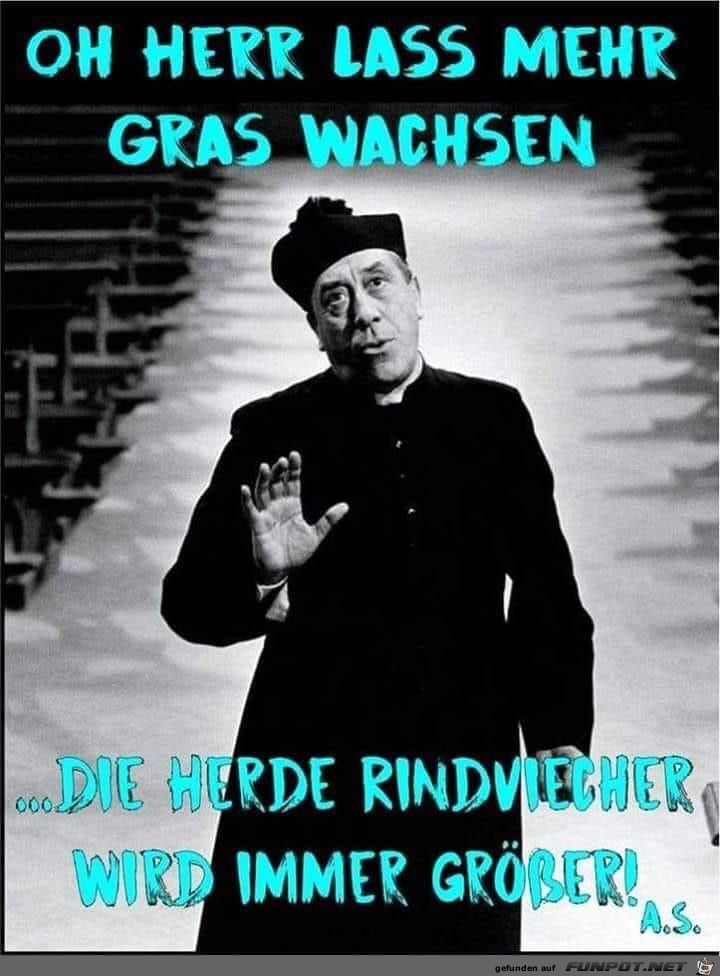 Gras wachsen lassen Gras wachsen lassen