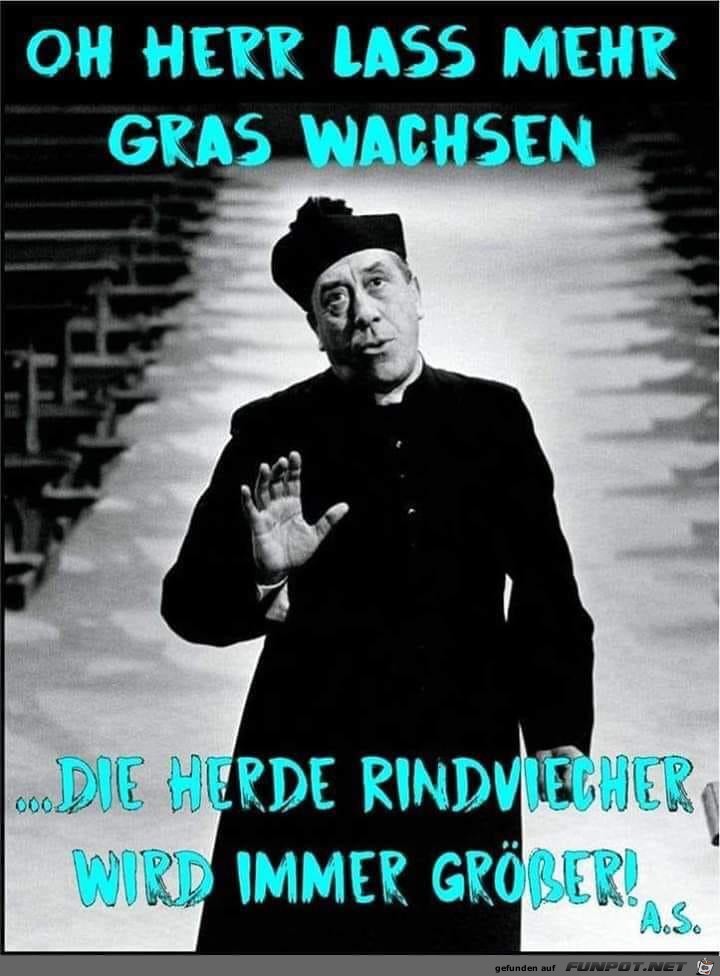 Gras wachsen lassen