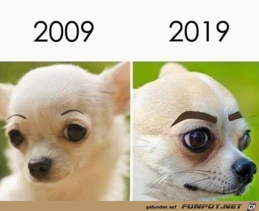 Schräg Schräg