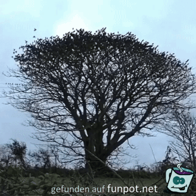 Allgemeiner Aufbruch Allgemeiner Aufbruch