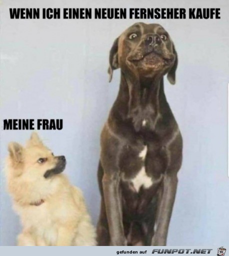Dieser Blick Dieser Blick