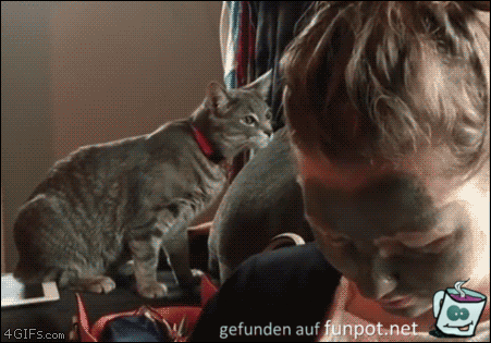 Schreck lass nach Schreck lass nach