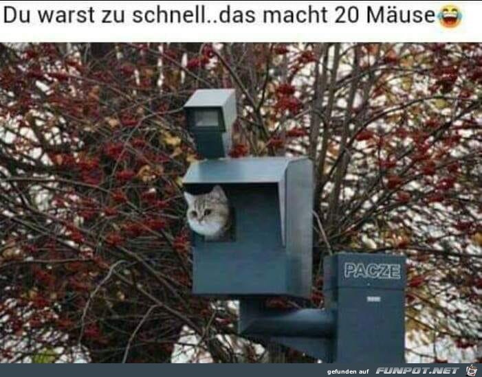 Du warst zu schnell