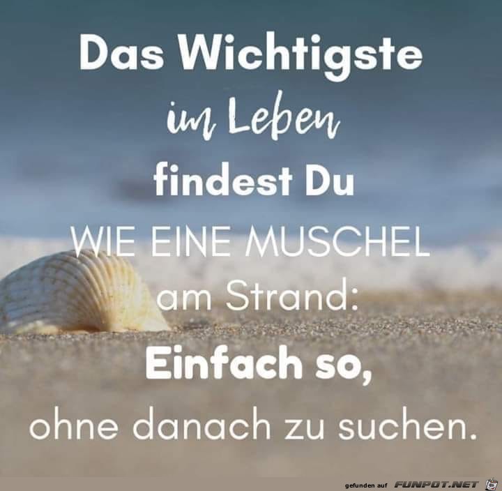 das wichtigste das wichtigste